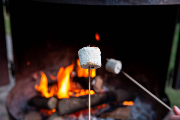 istock Person roasting over fire flames a marshmallows over campfire at night on a summer day, for smores or snack 1265001224