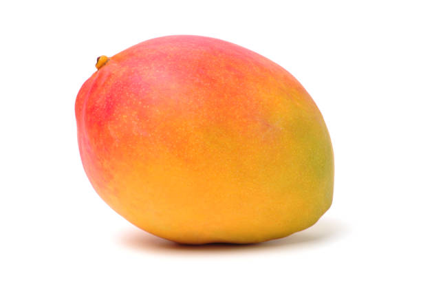 Mango Mango on a white background mango stock pictures, royalty-free photos & images