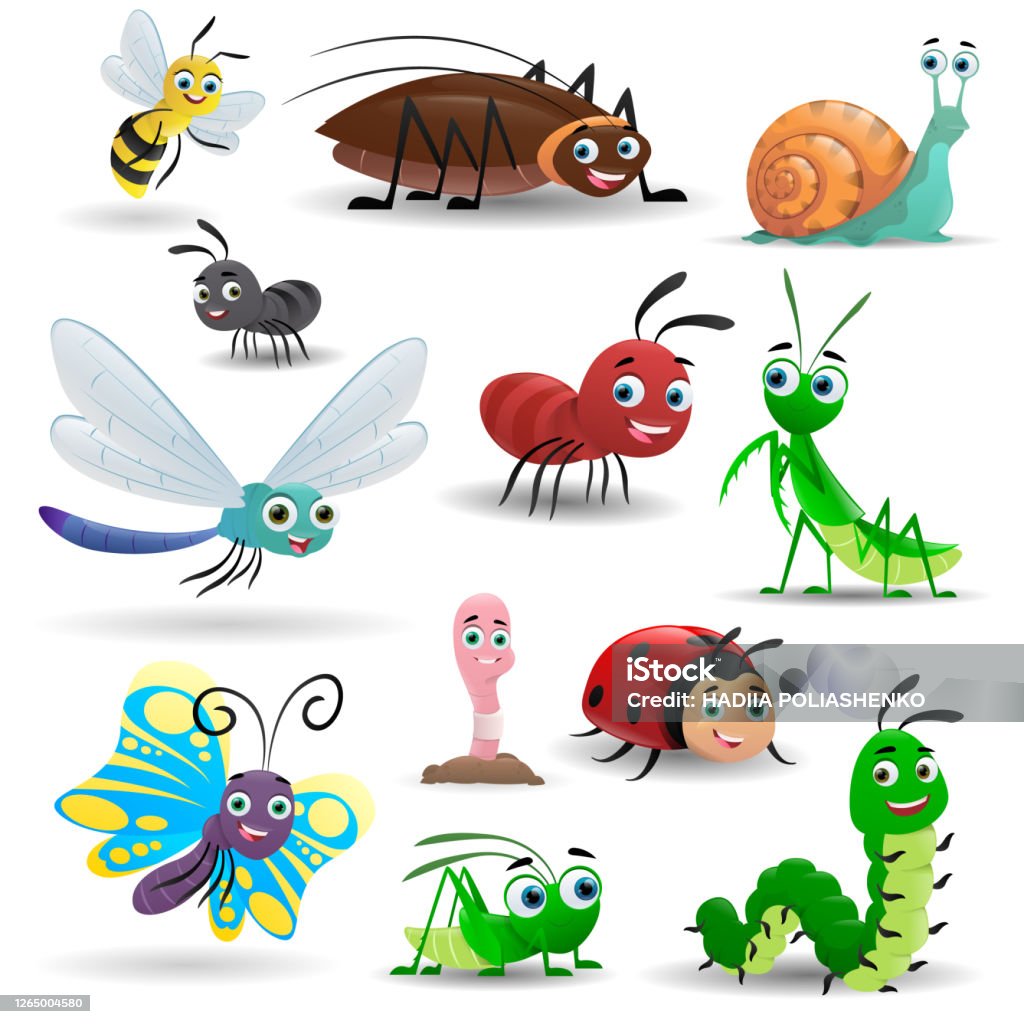 Big Set Cartoon Cute Insects Bee Worm Snail Butterfly Caterpillar Ladybug  Praying Mantis Dragonfly Cockroach Ant Grasshopper Vector Illustrations  Stock Illustration - Download Image Now - iStock