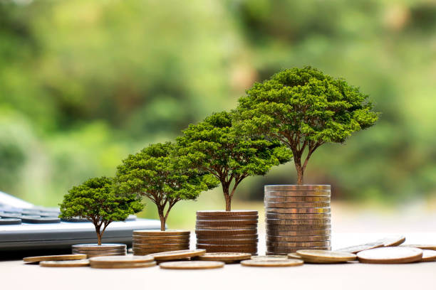 istock Plant a tree on a coin stack, including a calculator and jar for money. Financial accounting concepts and save money. 1265004724