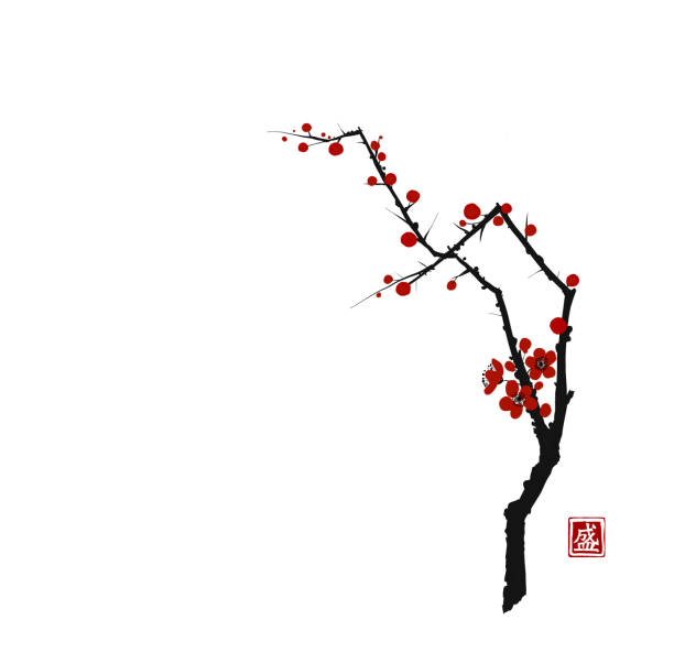istock Sakura cherry tree blossom on white background. Traditional oriental ink painting sumi-e, u-sin, go-hua. Hieroglyph - blossom. 1265005495