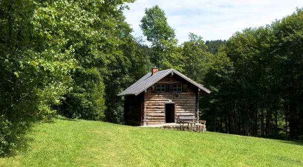 antigua cabaña de troncos en los alpes europeos - alm bavaria mountain summer fotografías e imágenes de stock