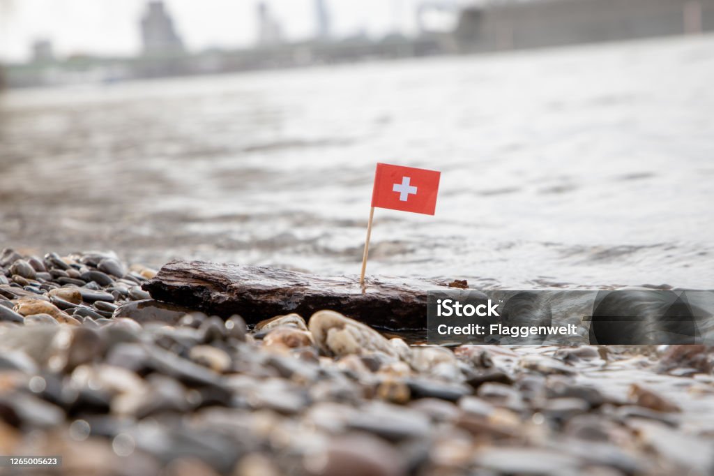 Flag in Wood on water Difficult times in Switzerland. Swiss Flag sticking in a piece of wood at shore Bundeshaus Stock Photo