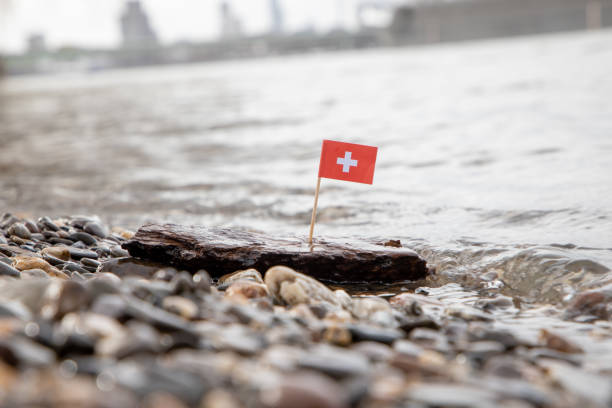 Flag in Wood on water Difficult times in Switzerland. Swiss Flag sticking in a piece of wood at shore bundeshaus stock pictures, royalty-free photos & images
