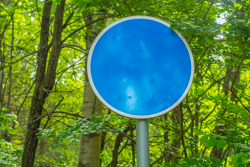 Blank round blue sign with space for text or image on a green foliage background. Template for the image of the sign
