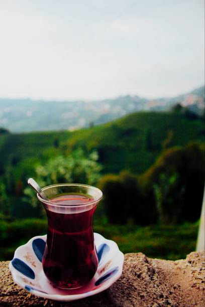 Tea with the view of the tea gardens in Rize