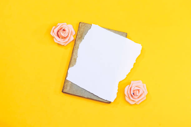 istock Mockup invitation, blank greeting card and leaf isolated on yellow 1265007004