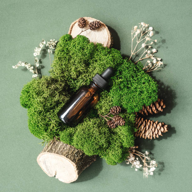 istock top view of bottle in moss, sustainable design. 1265007190