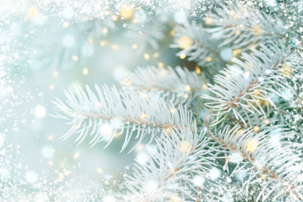 istock christmas trees and christmas decorations 1265008352