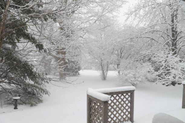 istock Beautiful Trees during a snow storm-Howard County Indiana 1265010400