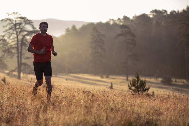istock Morning jogging in a field 1265012598