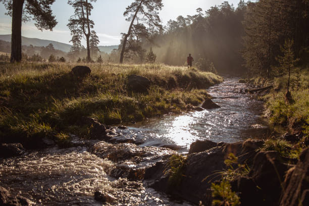 istock Morning jogging in a nature 1265012649