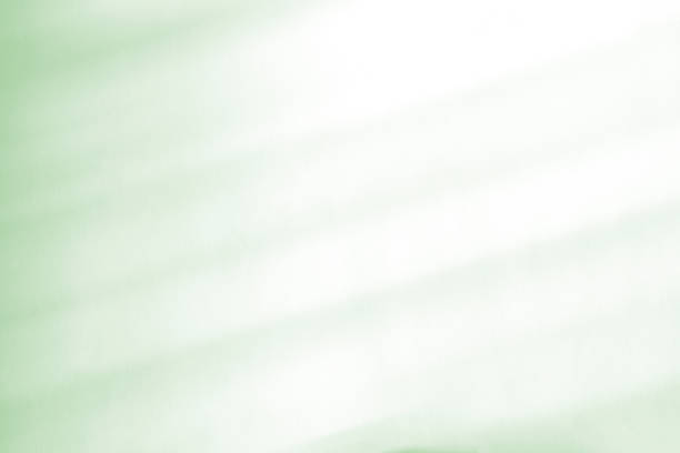 istock Window natural shadow overlay on light green texture background, for overlay on product presentation, backdrop and mockup, abstract shadow pattern 1265014262