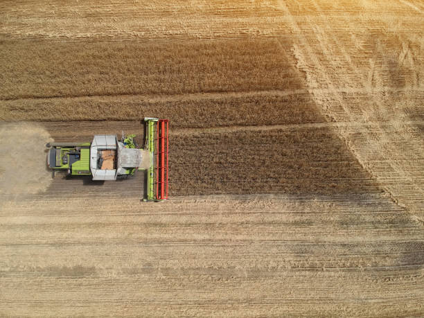 istock Aerial View of a combine harvester working in the fields 1265016130
