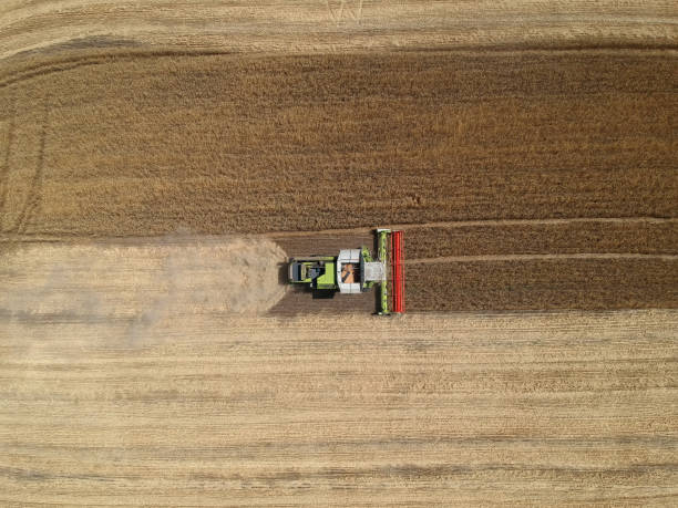 istock Aerial View of a combine harvester working in the fields 1265016132