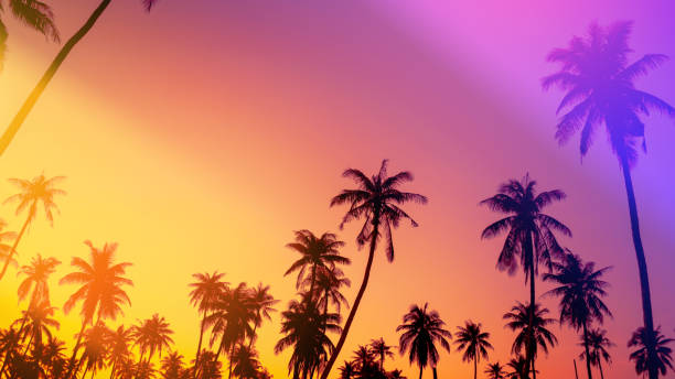 istock Copy space of silhouette tropical palm tree on sunset sky with bokeh light leak abstract background. 1265016939
