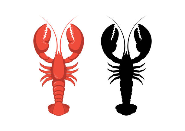 ilustraciones, imágenes clip art, dibujos animados e iconos de stock de icono de langosta roja y negra set vector - lobster