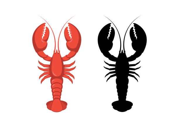 illustrations, cliparts, dessins animés et icônes de vecteur d’ensemble d’icône de homard rouge et noir - langouste