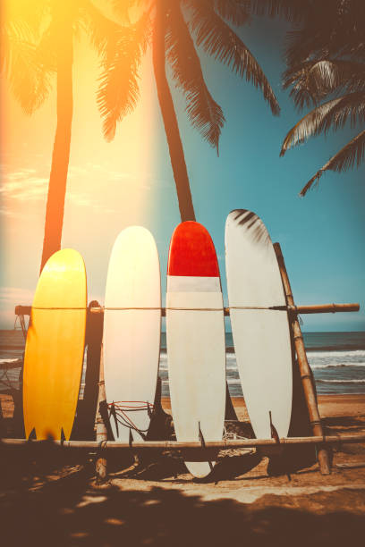 Vintage wood fish board surfboard isolated on white with clipping path for object, retro styles.