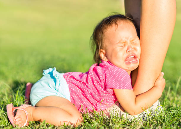 Discipline and parenting. Adorable asian baby girl in tears crying and pleading for attention attached to parents ankle while lying on the grass at the park on a summer day.