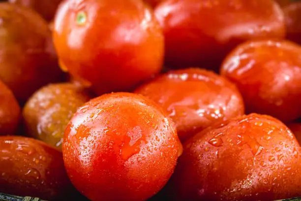 small red tomato, organic vegetable, fresh and wet. Fruit used in world cuisine.