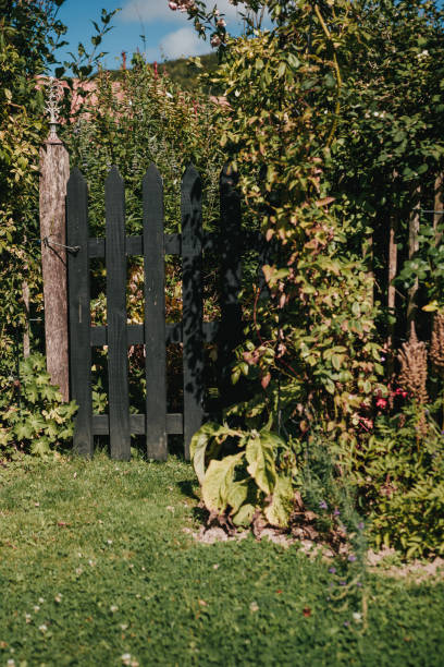 istock Small black wooden gate in the garden 1265019482