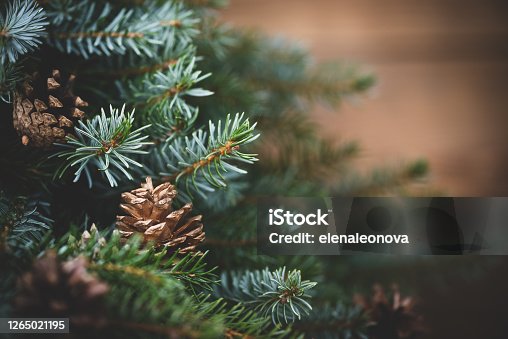 istock Christmas tree on wooden background 1265021195