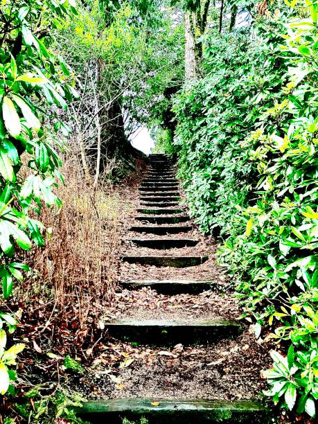 istock Staircase to the Fae 1265022305