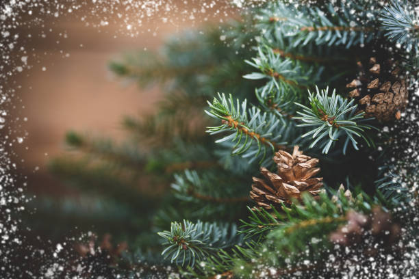 istock christmas trees and christmas decorations 1265023349