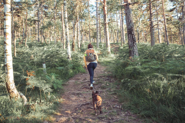 No better adventure buddy Rear view of an unrecognizable woman exploring the woods along with her dog companion. They're following the path into the deep forest. explorer photos stock pictures, royalty-free photos & images