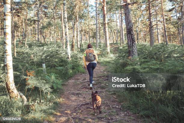No Better Adventure Buddy Stock Photo - Download Image Now - Hiking, Walking, Nature
