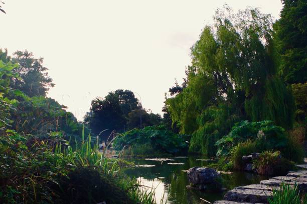 istock Waterfall, pond and greenery in a typical British park 1265024944