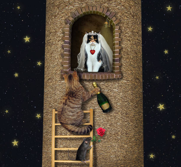 istock Cat climbs up to his bride at night 1265025796