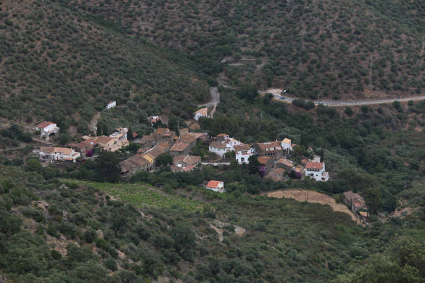 istock Summer landscape in Catalonia 1265025987