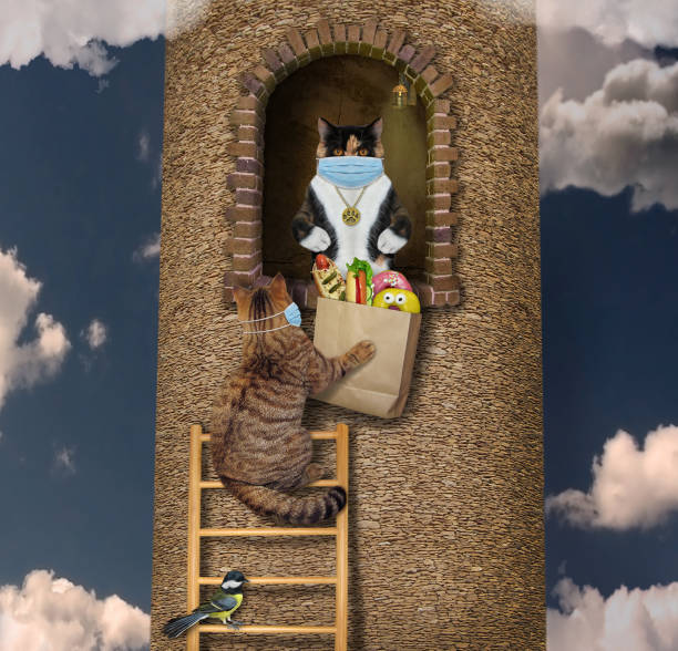istock Cat climbs up to his customer 1265027016