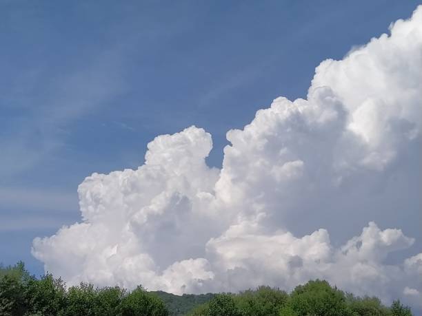istock Beauty of nature 1265030447