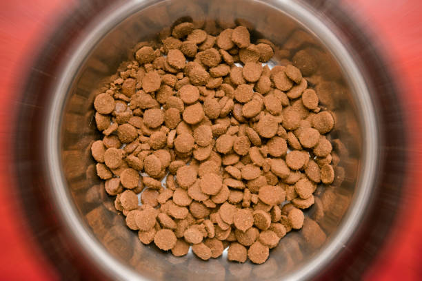 istock Pet dried food dish close-up. 1265032354