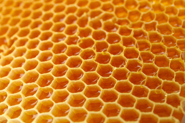 istock Fresh honeycomb on whole background, close up 1265032575
