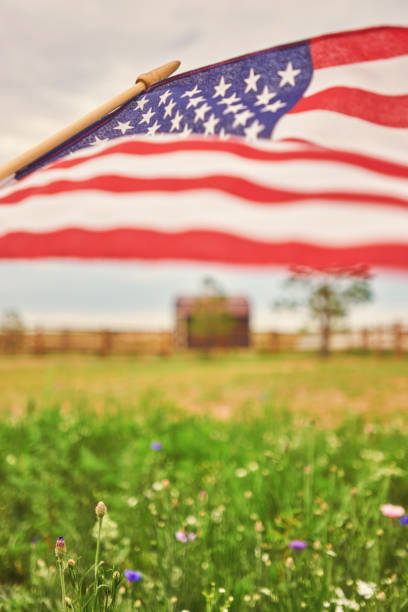 amerikanische flagge in meadow of wildflowers - 2322 stock-fotos und bilder