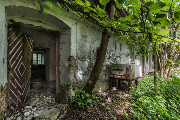 istock offfene tuere in a farmhouse 1265036868