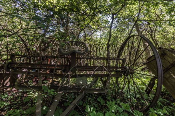 istock rusty agricultural raet in the forest 1265036936