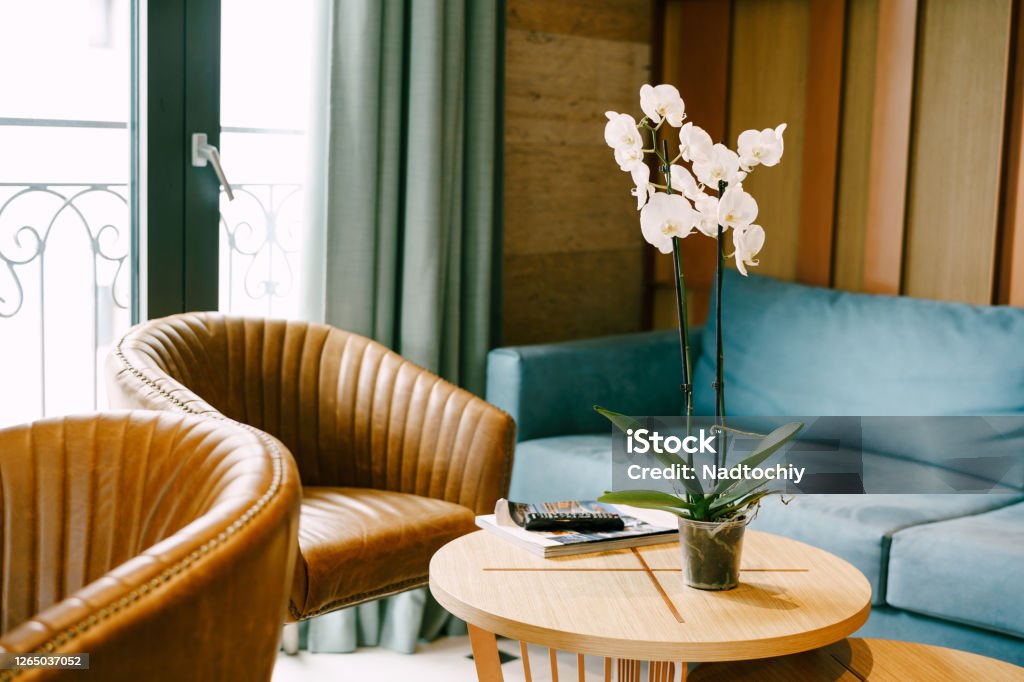 White orchid flower in a cup on a small round table with armchairs and a blue sofa against the background of doors leading to the balcony. White orchid flower in a cup on a small round table with armchairs and a blue sofa against the background of doors leading to the balcony. High quality photo Window Stock Photo