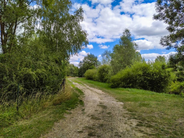 istock aerial view of a path 1265038269