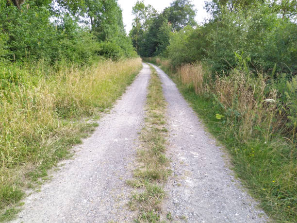 istock aerial view of a path 1265038408