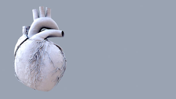 istock Human Heart beat Anatomy animation. 1265043646