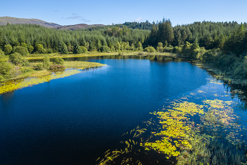 An image captured by a drone of a small Scottish loch situated in a remote rural area surrounded by forest and uncultivated land. The location is in Dumfries and Galloway, south west Scotland.