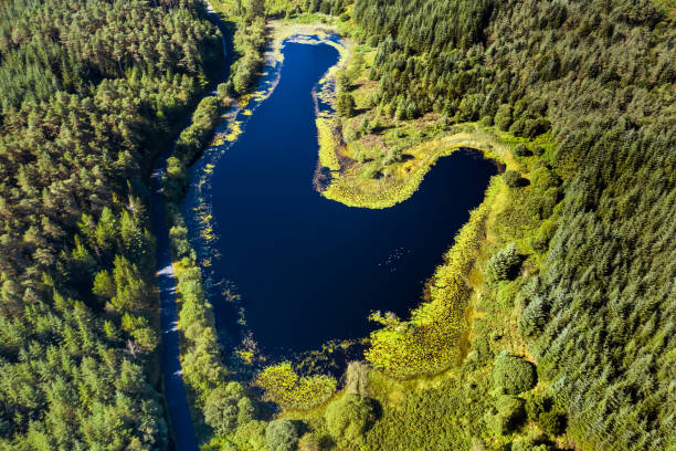 istock High angle view looking down on a small Scottish loch in rural Dumfries and Galloway, south west Scotland 1265044079