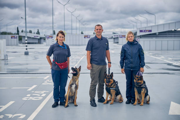 istock Security guards with police dogs standing in airfield 1265045739