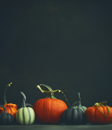 Beautiful heather flowers in pots and pumpkins in wooden cart outdoors