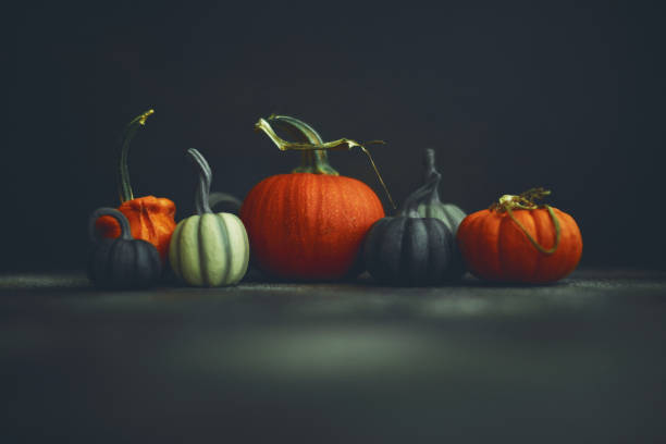 istock Halloween Thanksgiving Background with Assorted Pumpkins 1265046272